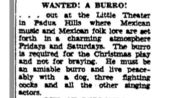 Burro wanted