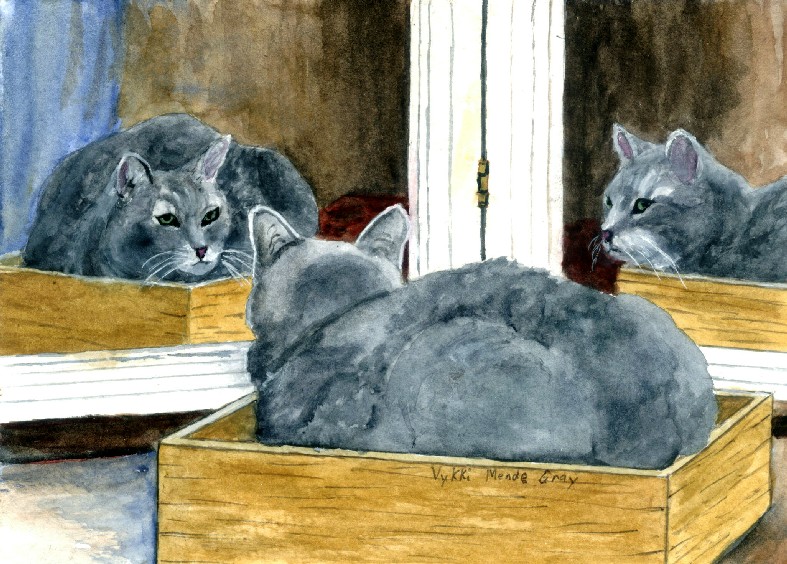 Gray Cat in Double Mirror